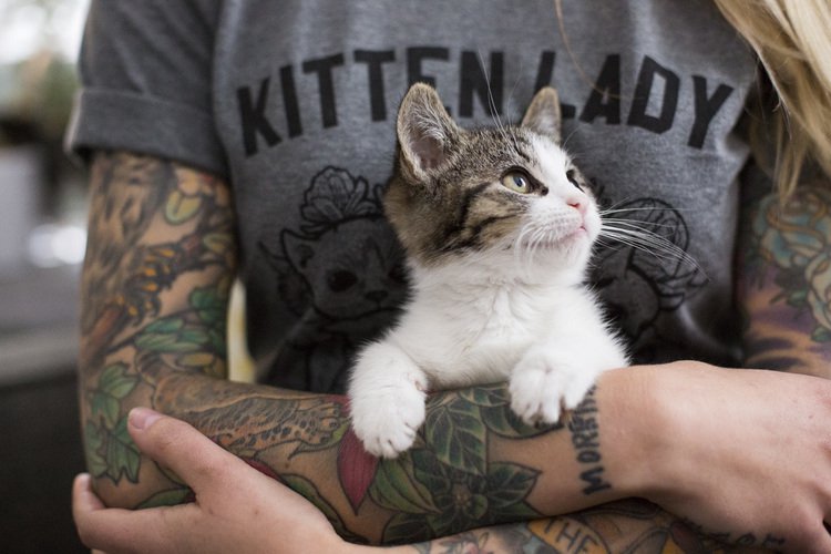 kittenlady.jpg